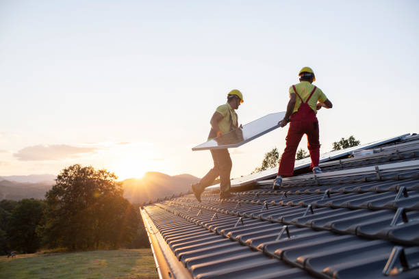 Best Roof Moss and Algae Removal  in South Corning, NY