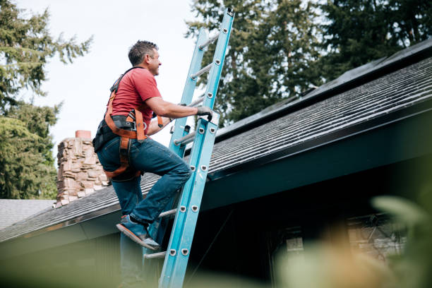 Best Chimney Flashing Repair  in South Corning, NY