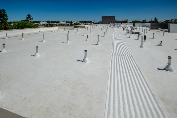 Best Roof Leak Repair  in South Corning, NY
